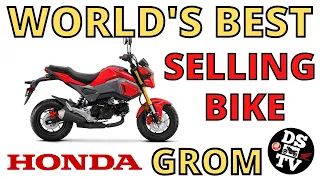 2022 Honda Grom Test and Review - Why the Grom is the Best Mini Moto