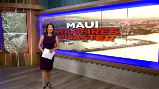 'This is a nightmare': Couple recounts terrifying escape from Lahaina wildfire