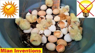 How to hatch eggs at home without incubator ( 100%) || Hatch  eggs at home without electricity