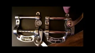 Bigsby on a Rickenbacker 325 Install