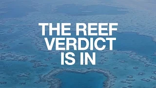 Save the Great Barrier Reef