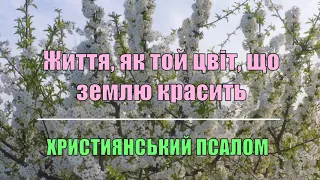 Життя, як той цвіт, що землю красить.