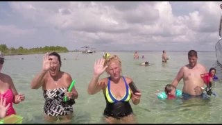 Best Snorkeling in Destin FL