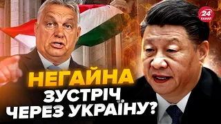 Сі Цзіньпін ЕКСТРЕНО прибув до Угорщини. Про що говоритимуть з ОРБАНОМ. Чого чекати Україні?