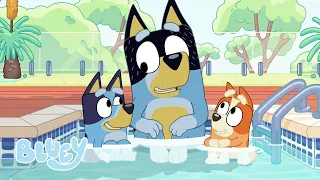 La piscine | Episode complet | Bluey Français Chaîne Officielle