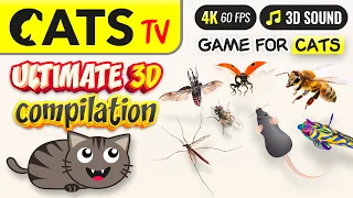 CAT TV - ULTIMATE 3D compilation 🪰🐭🐞 for CATS 😻 4K 3 HOURS