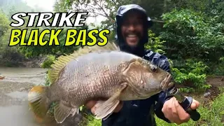 Battle Fishing Lawan Satria Pure Saturday | MANCING MANIA STRIKE BACK (16/09/23) Part 1