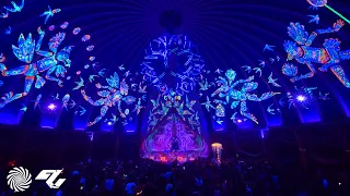 Ace Ventura - Going Back (Pitch Black's Eternally Happy Remix) @ The Dome / Ozora Festival 2022