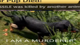 The WolfQuest Mutiplayer Experience I
