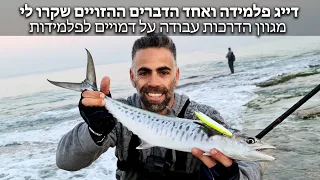 דייג פלמידה, מגוון הדרכות עבודה על דמויים לפלמידות, אחד הדברים ההזויים שקרו לי בדייג מהחוף ודמוי חדש