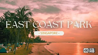 [4K] Midnight Beach Walk in Singapore | Authentic Beach Wind and Wave Sound #nature #serenity #waves