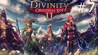 Divinity Original Sin 2 сокровищница короля Бракка.