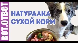 МОЖНО СМЕШИВАТЬ СУХОЙ КОРМ И НАТУРАЛКУ? ВетОтвет