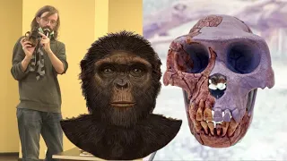 Станислав Дробышевский. 7 черепов: посмотри в глаза Эволюции!