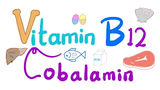 Vitamin B12 (Cobalamin) 🐚 🥩 🐠 | Most Comprehensive Explanation