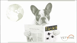 Ticks? Sick Pet? What Dog Owners Need to Know