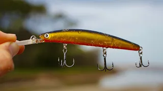 This Lure Caught So Many Fish!! (Sand Flat Fishing Tips)