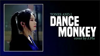 Dance monkey song ( cover by j.fla ) lyrics