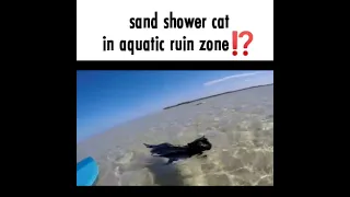 sand shower cat sighting⁉️ #sonic2
