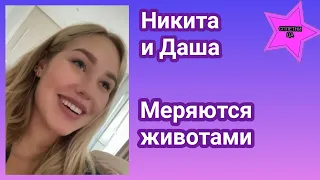 Никита Добрынин и Даша Квиткова меряются у кого больше живот