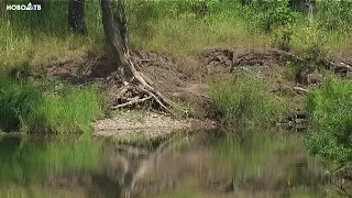 Несчастные случаи на воде