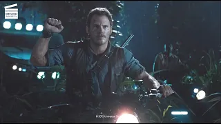 Jurassic World: The new alpha HD CLIP