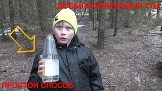 Простой способ добычи берёзового сока! СПРАВИТСЯ ДАЖЕ РЕБЕНОК!