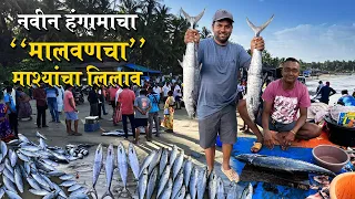 नवीन हंगामाचा "मालवणचा" मास्याचा लिलाव | Fish Auction Of Malvan Bandar