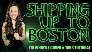 Dropkick Murphys - Shipping Up To Boston | TIN WHISTLE COVER & TABS TUTORIAL