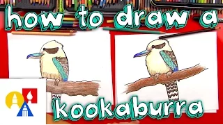 How To Draw A Kookaburra