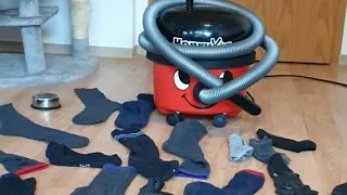 Henry vacuuming up Socks 🧦
