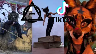 Therian and Quadrobics TikToks || Compilation 🐾🍂 || Alterhumans of TikTok #52