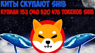 Shiba inu Идёт Большой ПАМП - Киты Купили более 153 миллиардов SHIB