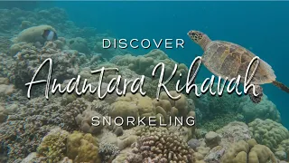 SNORKELING IN MALDIVES 🐠🐟: ANANTARA KIHAVAH, The best House Reef we've Snorkeled so far (4K UHD)