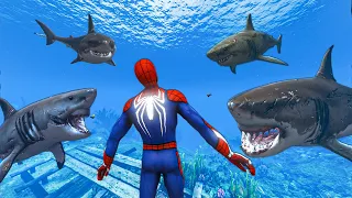 GTA 5 Water Ragdolls | SPIDERMAN Jumps/Fails #24 (Euphoria Physics | Funny Moments)