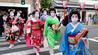 Geisha Walk from Pontocho Alley to Gion in Kyoto | Amazing Beautiful Kimono and Obi | Japan Travel