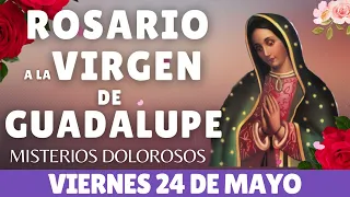 ✅💝ROSARIO A LA VIRGEN DE GUADALUPE HOY VIERNES 🙏📿 24 DE MAYO DE 2024 FE 📿Catolica oficial 💝