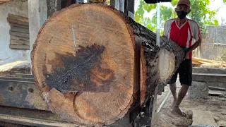 The difficuly of sawing the hardest wood In east Java,Indonesia |sawmill