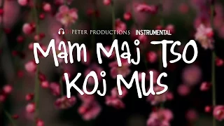 DJPeter - Maj Mam Tso Koj Mus