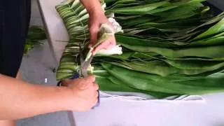 How to make a ti leaf skirt