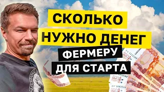 СКОЛЬКО НУЖНО ДЕНЕГ для старта В СЕЛЬСКОМ ХОЗЯЙСТВЕ. С чего начать в КФХ. Ферма с нуля