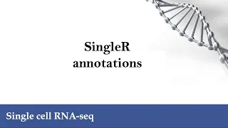 scRNA-seq: SingleR annotations