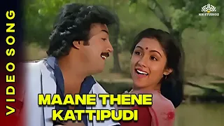 Maane Thene | மானே தேனே | Udaya Geetham Movie Songs | SPB | Revathi | Mohan #ilaiyaraajahitsongs