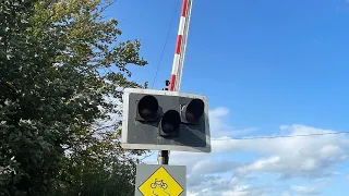 *MISUSE* Lisnagry level crossing (Limerick) ft @Train-LCI-Spotting