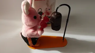 Duracell  Boxing Bunny