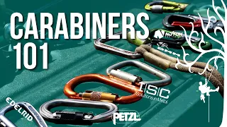 Which Carabiner is best?| Choosing the right one for every situation| Beginner to Expert Guide