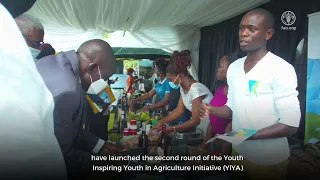 Youth Inspiring Youth in Agriculture Initiative in Uganda: Promoting youth employment in agriculture