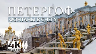 Peterhof fountains in the snow April 20. Turning on the fountains. A walk with music and live sounds