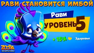 КАЧАЕМ ПАВЛИНА РАВИ НА 5 УРОВЕНЬ В ИГРЕ ZOOBA