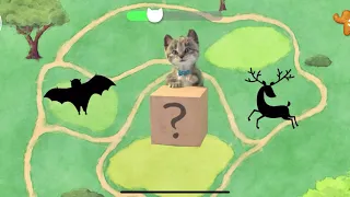 Little Kitten Preschool Adventure Educational Games - Play Fun Cute Kitten Pet Care Gameplay #333